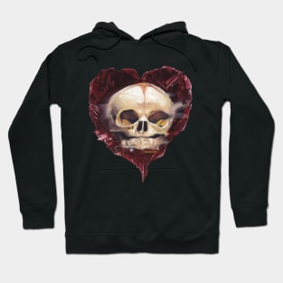 Ansekenamun - Heart Baby skull Hoodie